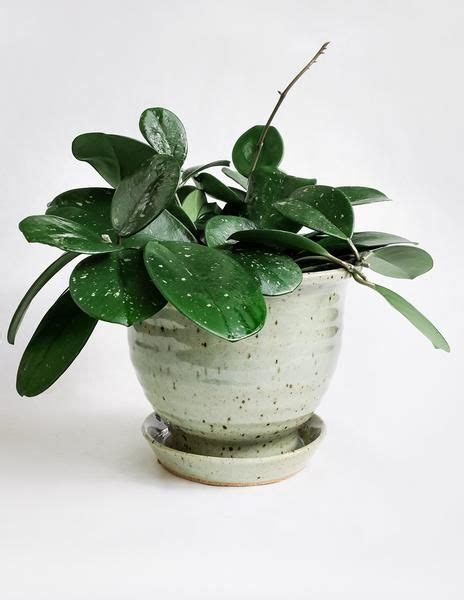 This Hand Thrown Ceramic Planter Is A Classic With An Attached