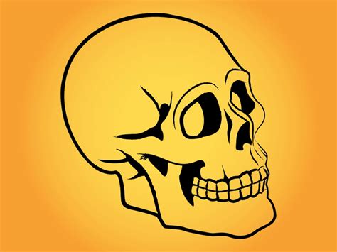 Stylized Human Skull Vector Art And Graphics