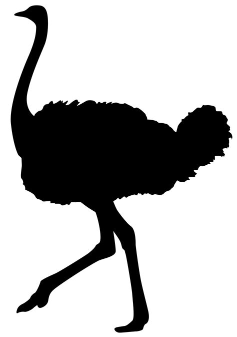 Ostrich Silhouette PNG Transparent Clip Art Image | Silhouette drawing, Animal silhouette ...