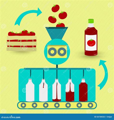Etapas Da Produção Industrial Do Molho De Tomate