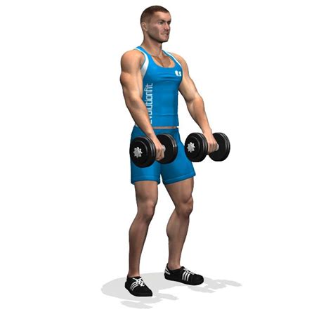 Front Dumbbell Raise Involved Muscles During The Training Shoulders