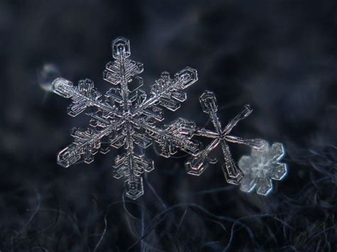 Alexey Kljatov Snowflake Photography Snowflakes Real Fractals In Nature