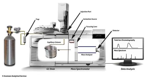 Gas Chromatography Mass Spectrometry White Paper Mass Spectrometry