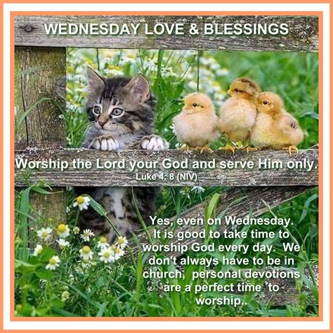Pin by Rosa Well on WEDNESDAY BLESSINGS | Blessed quotes, Blessed wednesday, Blessed