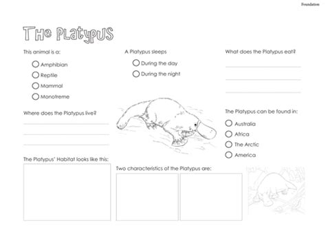Platypus Information Text Teaching Resources