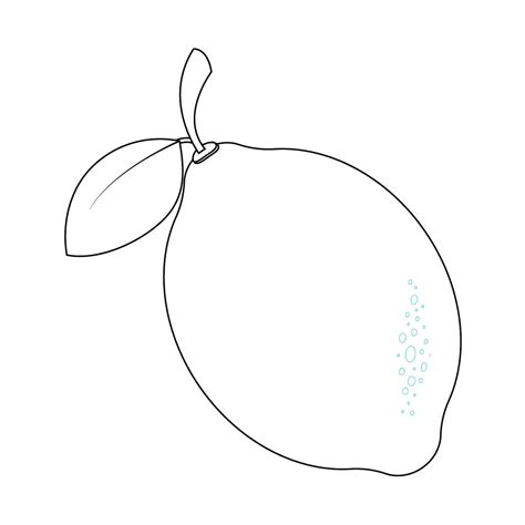 How To Draw A Lemon Step By Step