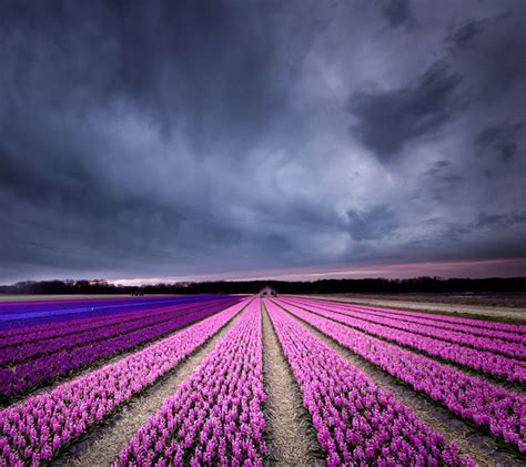 Wallpaper Abstract Nature Sky Field Smiling Horizon Lavender