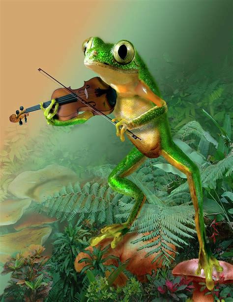 Humorous Tree Frog Playing A Fiddle By Gina Femrite Frog Frog