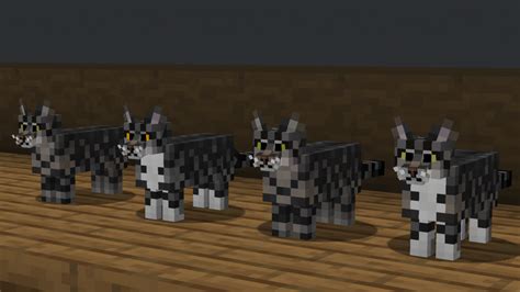 Better Cats Texture Pack Para Minecraft 1204 1194 1182 1171 1165 1152 1144