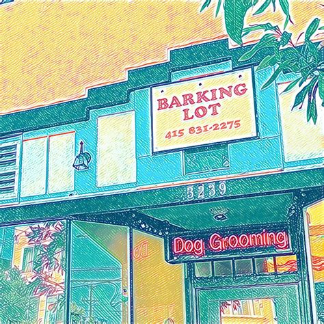 Barking Lot Dog Grooming | San Francisco CA