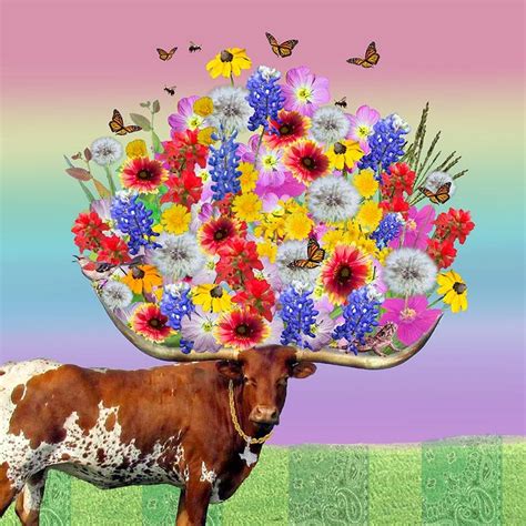 Julia Mclaurin Longhorn Bouquet Texas Springtime Rainbow Flowers W