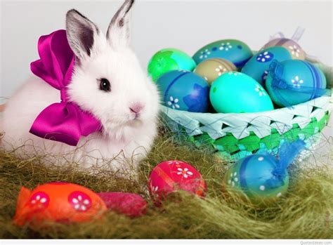 Happy Easter Bunny Wallpapers And Quotes