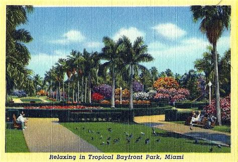 Vintage Miami Florida Linen Postcard Relaxing In Tropical Bayfront
