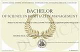Images of Bachelor Of Science In Management