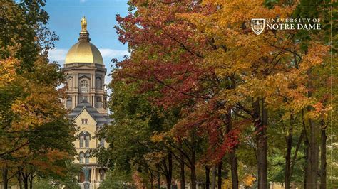 Research at notre dame has paved the way for new discoveries. Zoom Backgrounds | Series | Stories | University of Notre Dame