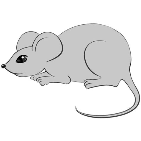 Open This Page An Learn How To Draw A Mouse Easy And Fast Rock Garden