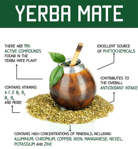 Yerba Mate Caffeine Content And Other Ingredients Tea Allure