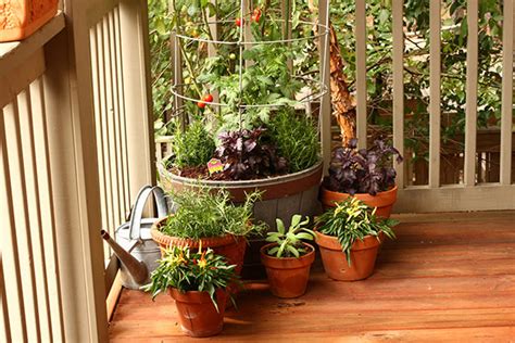 Choose The Right Container For Your Plants Bonnie Plants