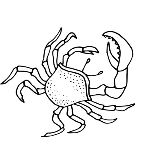 Crabe Coloriage De Crabe A Imprimer Gratuitement