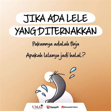 Foto Dakwah: Hukum makan lele yang dikasih makan tai atau tinja