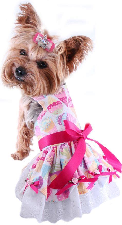 41 Dogs All Dressed Up Ideas Cute Dogs Dogs Cute Dog Pictures