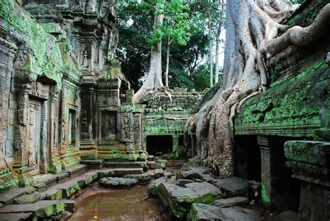 Ta Prohm Cambodia Jungle Temple Angkor Travel Around The World