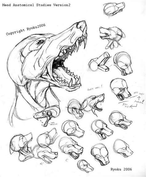 Explore a wide range of the best cartoon wolf on besides good quality brands, you'll also find plenty of discounts when you shop for cartoon wolf during big. dog rib cage anatomy - Google 搜索 | Cartoon wolf drawing ...