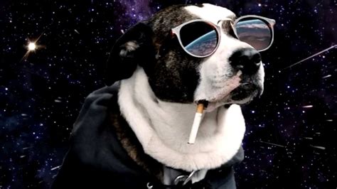 Space Dog Youtube