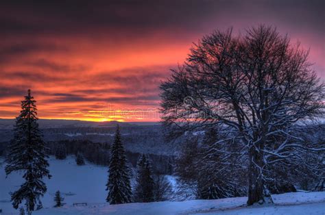 Beautiful Sunset In Winter Mountain Landscape Stock Image