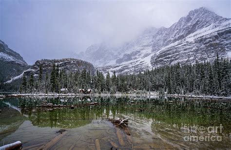 Lake Ohara Canadian Rockies In Winter Photograph By Mike Reid Fine