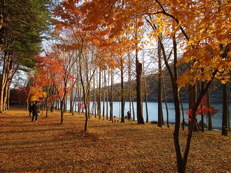 8 Top Places To See Autumn Foliage In Seoul South Korea