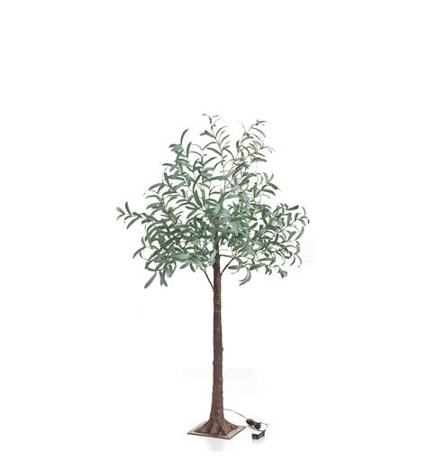Olive trees have been in cultivation for more than 6000 years. Indoor/ Outdoor Faux Lighted Olive Tree, 5' - White ...