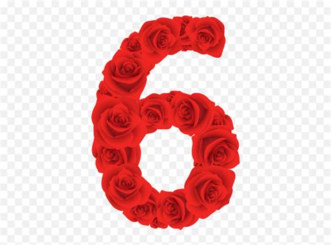 Rosas Rojas N Mero Seis Png Transparente Stickpng Roses Numbers Rosas
