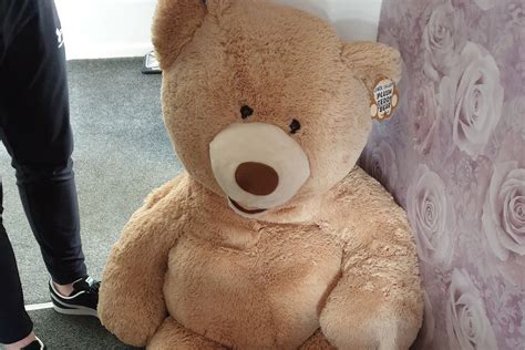 Car Thief Caught Hiding Inside Giant Teddy Bear In Rochdale Radio Newshub