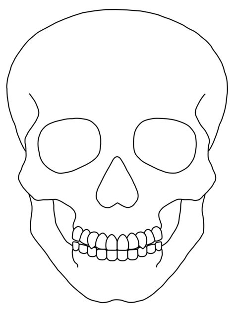 Https://wstravely.com/draw/how To Draw A Skeleton Face Easy
