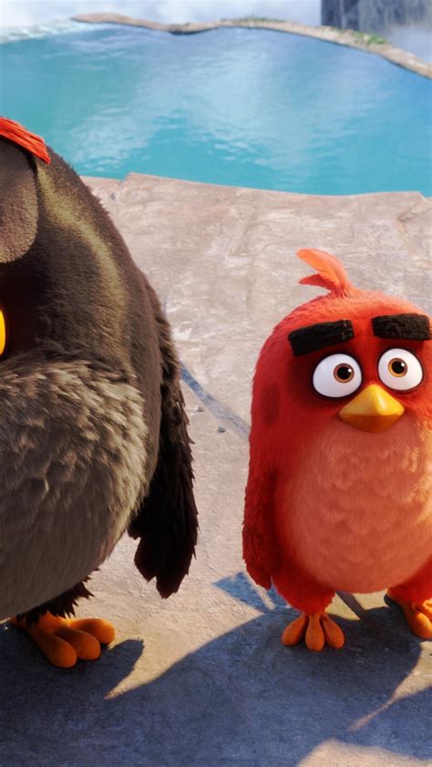 2160x3840 Latest Angry Birds 2016 Movie Sony Xperia Xxzz5 Premium Hd