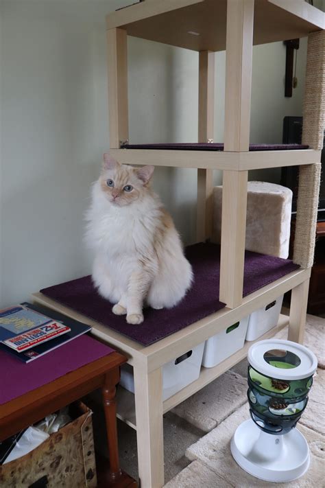 Check spelling or type a new query. Ikea Furniture Hack: Reader Makes a Custom DIY Cat Tree - Floppycats™