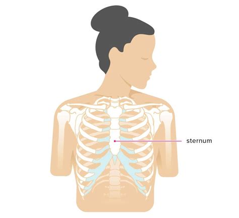 Is your heart under your third rib. Sternum Popping: Treatment, Pain, Chest Pain, and Symptoms