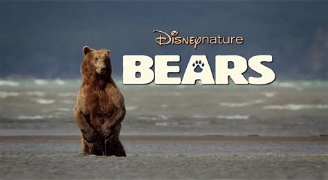 Movies like the lion king, the little mermaid, and beauty and the beast. 10 screenshots from Disneynature's Bears movie | Movie ...
