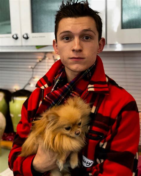 Sale Tom Holland Red Jacket In Stock