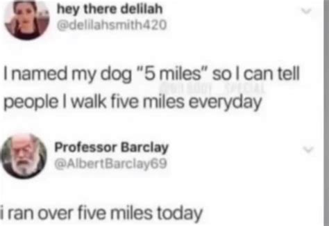 5 Miles Moldy Memes Know Your Meme