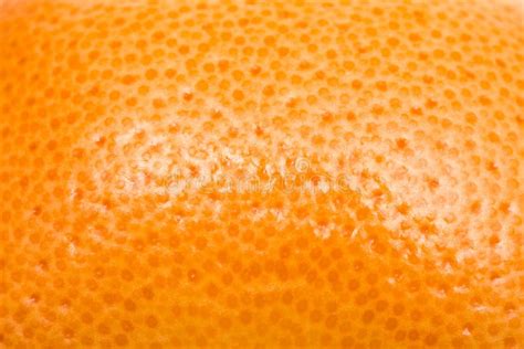 Orange Fruit Texture Stock Photos Image 36000143