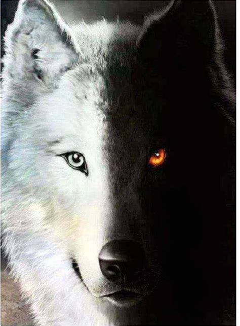 Pin By Chasity Leegaard On Mes Amis Les Loups Wolf Spirit Animal