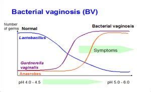 Bacterial Vaginosis MCW Healthcare