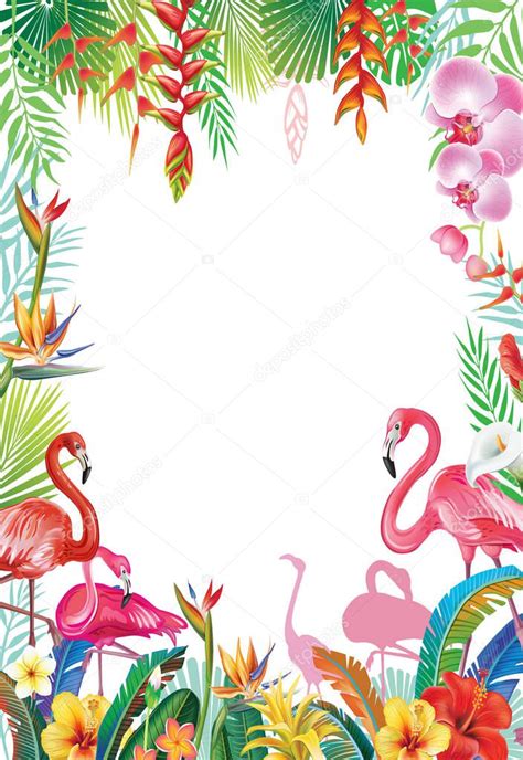 Frame Tropical Flowers Leaves Flamingoes Stock Vector Wikki