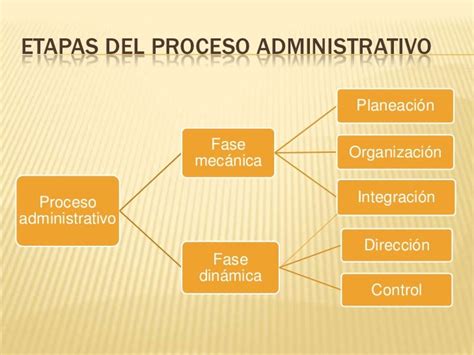 Download 5 Etapas Del Proceso Administrativo Pictures Mares