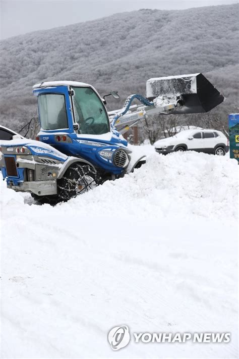 Jeju Island Hit By Heavy Snow Yonhap News Agency