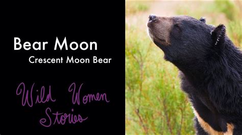 Bear Full Moon February 27th 2021 Crescent Moon Bear Rage