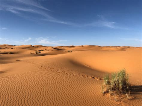 Sandy Desert Naturespots App Lets Explore Nature Together