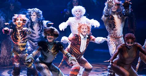 Grizabella the glamour cat is a main character in the andrew lloyd webber musical cats.lonely and decrepit, grizabella seeks acceptance from the other jellicle cats but is initially ostracised. Here's What the Costumes in the New 'Cats' Movie Will Look ...